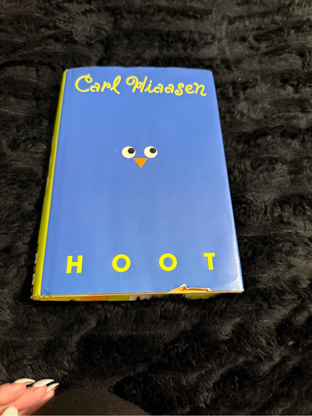 Children’s chapter book